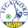 LEGA NORD SALVINI